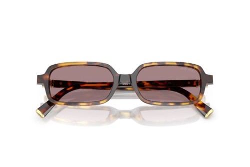 MIU MIU MU 11ZS - 14L20I - 51 Occhiali da sole Havanna Square