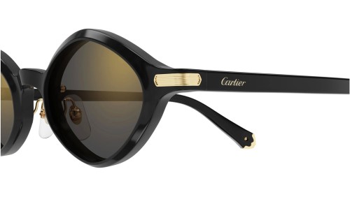 Cartier CT0540S - 001 - 48 Occhiali da sole Black Oval