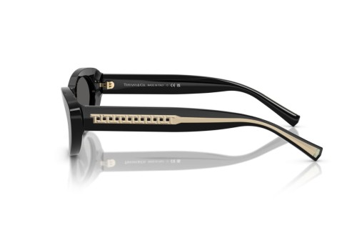 TIFFANY & CO. TF4236U - 8001S4 - 55 Occhiali da sole Black Cat Eye