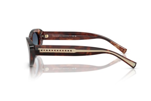 TIFFANY & CO. TF4236U - 84219S - 55 Occhiali da sole Havanna Cat Eye