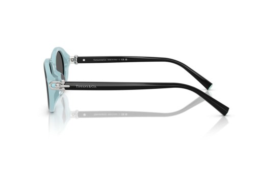 TIFFANY & CO. TF4242D - 8055S4 - 54 Occhiali da sole Black Oval