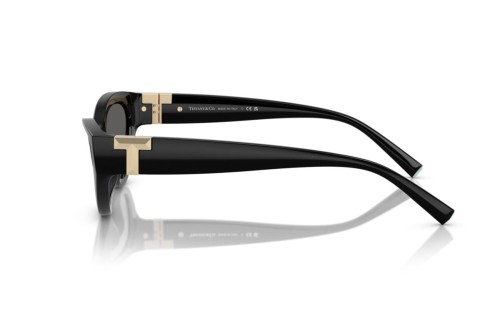 TIFFANY & CO. TF4225U - 8001S4 - 54 Occhiali da sole Black Cat Eye