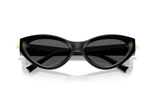TIFFANY & CO. TF4225U - 8001S4 - 54 Occhiali da sole Black Cat Eye