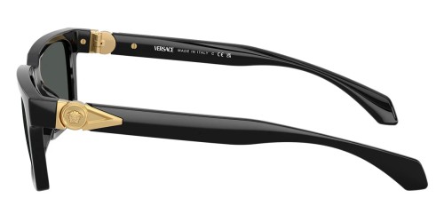 VERSACE VE4490U - ​GB1/87 - ​55 Occhiali da sole Black Square