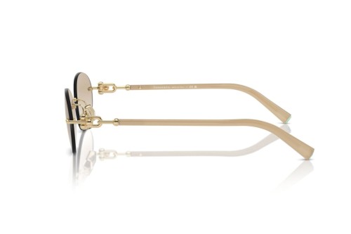 TIFFANY & CO. TF3104D - 617811 - 56 Occhiali da sole Gold Oval