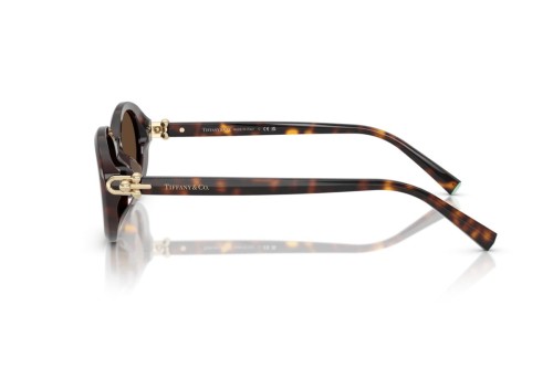 TIFFANY & CO. TF4242D - 80153G - 54 Occhiali da sole Oval