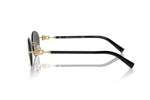 TIFFANY & CO. TF3104D - 6216S4 - 56 Occhiali da sole Gold Oval