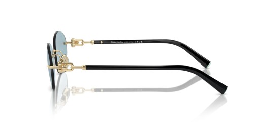 TIFFANY & CO. TF3104D - 602180 - 56 Occhiali da sole Gold Oval