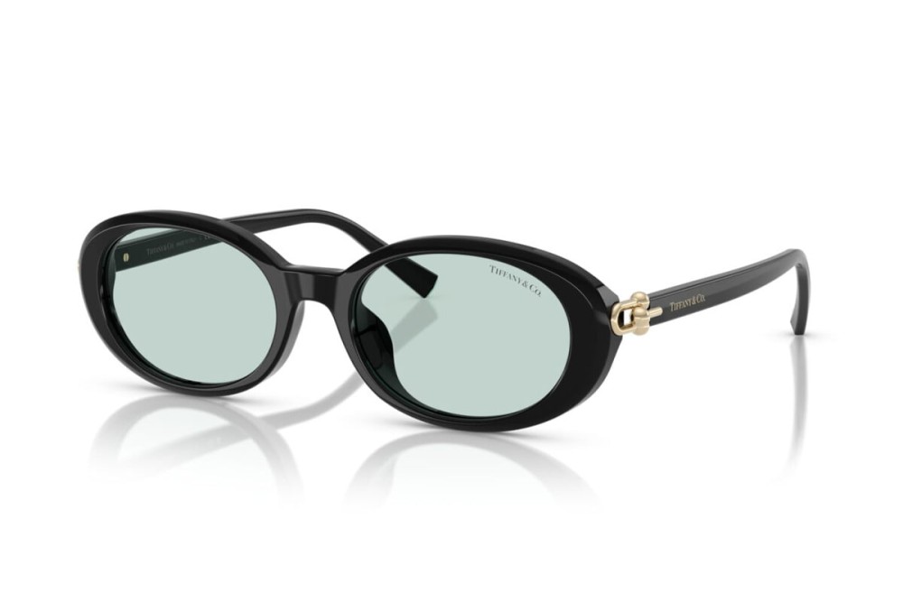 TIFFANY & CO. TF4242D - 8001D9 - 54 Occhiali da sole Black Oval