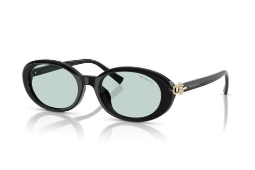 TIFFANY & CO. TF4242D - 8001D9 - 54 Occhiali da sole Black Oval