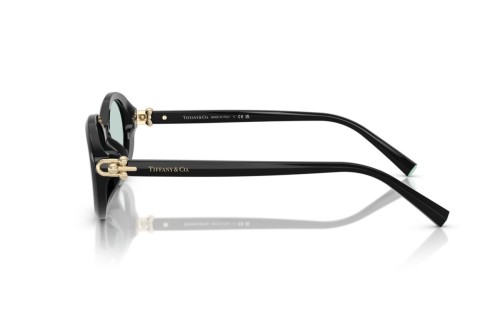 TIFFANY & CO. TF4242D - 8001D9 - 54 Occhiali da sole Black Oval