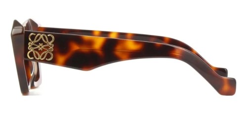Loewe LW40036I - 53E - 50 Occhiali da sole Havanna Cat Eye