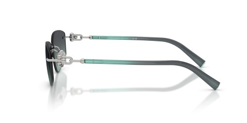 TIFFANY & CO. TF3114 - 60012G - 59 Occhiali da sole Silver Square