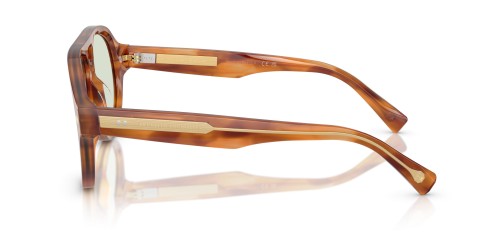 BRUNELLO CUCINELLI BC4017S - 102221 - 57 - CON LENTI TRANSITIONS Occhiali da sole Havanna Pilot (Aviator)