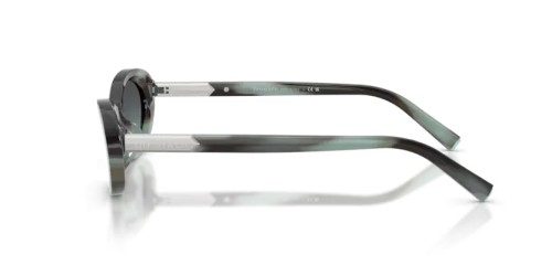 TIFFANY & CO. TF4250 - 84432G - 56 Occhiali da sole Oval