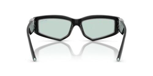 TIFFANY & CO. TF4234U - 8001D9 - 55 Occhiali da sole Black