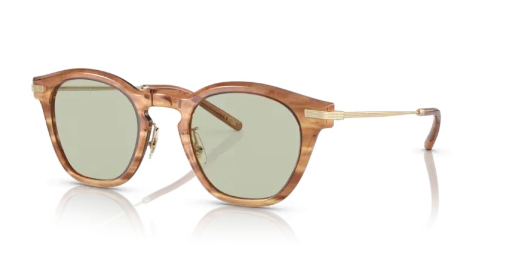OLIVER PEOPLES OV5496 LEN - 1744 - 49 Occhiali da sole Square