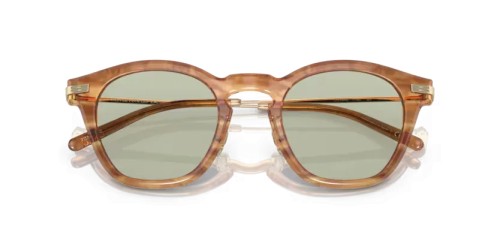 OLIVER PEOPLES OV5496 LEN - 1744 - 49 Occhiali da sole Square