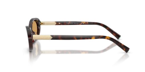TIFFANY & CO. TF4250 - 801574 - 56 Occhiali da sole Havanna Oval
