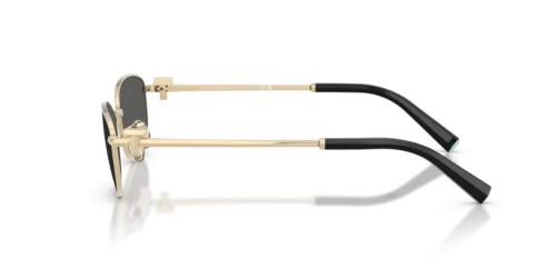 TIFFANY & CO. TF3115 - 6021S4 - 56 Occhiali da sole Oval