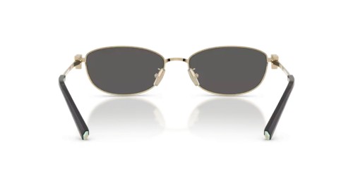 TIFFANY & CO. TF3115 - 6021S4 - 56 Occhiali da sole Oval