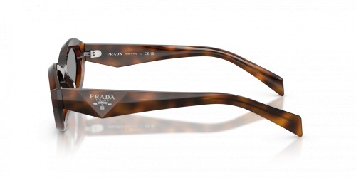 PRADA PR 26ZS - ​20D50Q - ​55 Occhiali da sole Havanna Oval