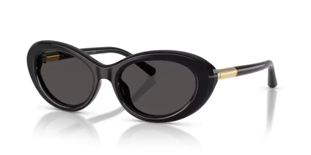 DOLCE & GABBANA DG4519 - 501/87 - 54 Occhiali da sole Black Oval