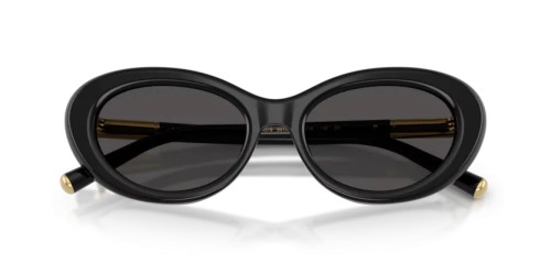 DOLCE & GABBANA DG4519 - 501/87 - 54 Occhiali da sole Black Oval