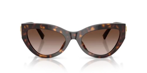 DOLCE & GABBANA DG4536 - 502/13 - 55 Occhiali da sole Havanna Cat Eye