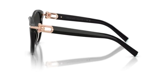 TIFFANY & CO. TF4261 - 80013C - 56 Occhiali da sole Black Cat Eye