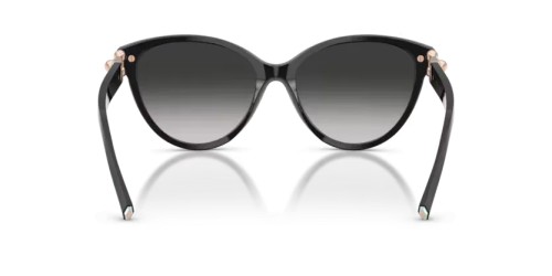 TIFFANY & CO. TF4261 - 80013C - 56 Occhiali da sole Black Cat Eye