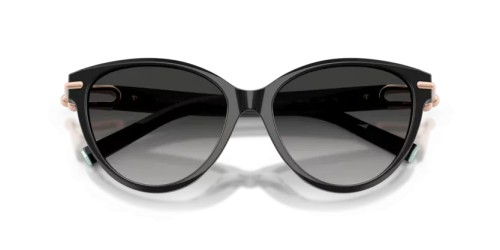TIFFANY & CO. TF4261 - 80013C - 56 Occhiali da sole Black Cat Eye