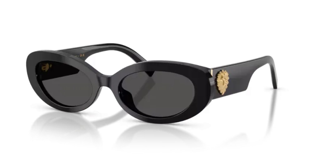 DOLCE & GABBANA DG4537 - 501/87 - 53 Occhiali da sole Black Oval
