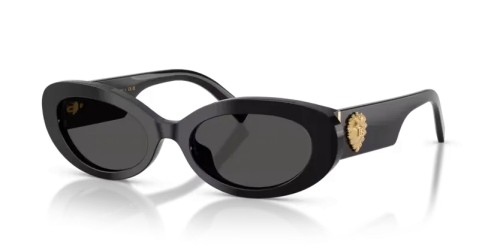 DOLCE & GABBANA - Occhiali da sole - DG4537 - 501/87 - 53