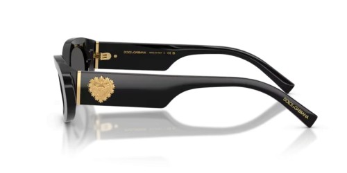 DOLCE & GABBANA DG4537 - 501/87 - 53 Occhiali da sole Black Oval