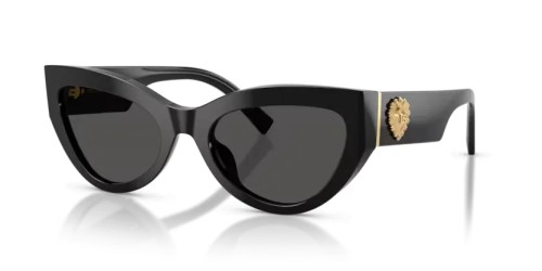 DOLCE & GABBANA - Occhiali da sole - DG4536 - 501/87 - 55