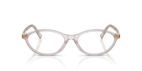MIU MIU MU 09XV - 12W1O1 - 53 Montature ottiche Oval