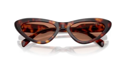 MIU MIU MU B11SU - 27L90Q - 55 Occhiali da sole Havanna Cat Eye