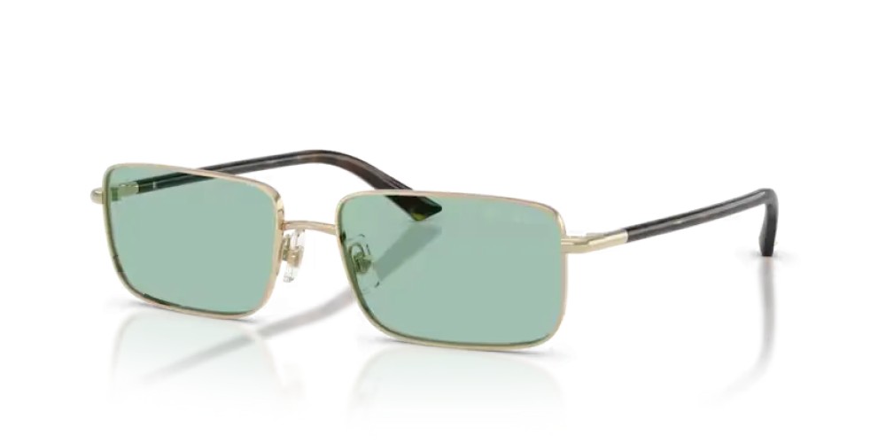 Jimmy Choo JC4027 - 3006/2 - 55 Occhiali da sole Rectangle