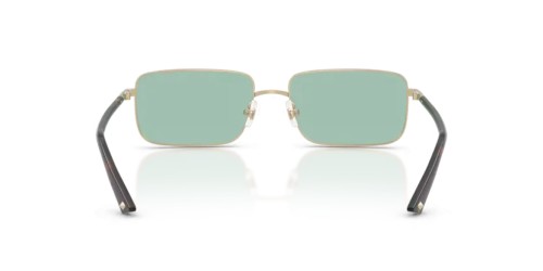 Jimmy Choo JC4027 - 3006/2 - 55 Occhiali da sole Rectangle