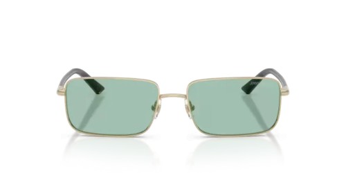 Jimmy Choo JC4027 - 3006/2 - 55 Occhiali da sole Rectangle