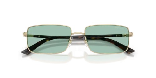 Jimmy Choo JC4027 - 3006/2 - 55 Occhiali da sole Rectangle