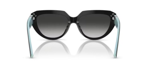 TIFFANY & CO. TF4238U - 84653C - 55 Occhiali da sole Black