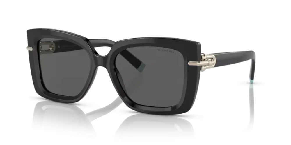 TIFFANY & CO. TF4199 - 8001S4 - 53 Occhiali da sole Black Butterfly