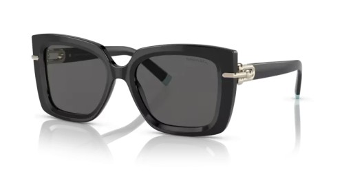 TIFFANY & CO. - Occhiali da sole - TF4199 - 8001S4 - 53