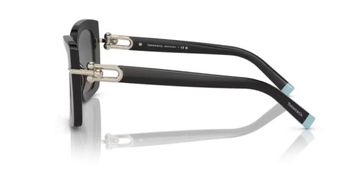 TIFFANY & CO. TF4199 - 8001S4 - 53 Occhiali da sole Black Butterfly