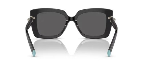 TIFFANY & CO. TF4199 - 8001S4 - 53 Occhiali da sole Black Butterfly