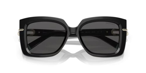 TIFFANY & CO. TF4199 - 8001S4 - 53 Occhiali da sole Black Butterfly