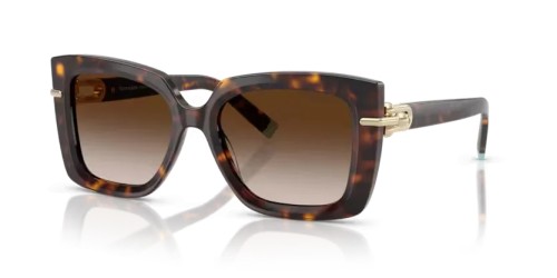 TIFFANY & CO. - Occhiali da sole - TF4199 - 80153B - 53