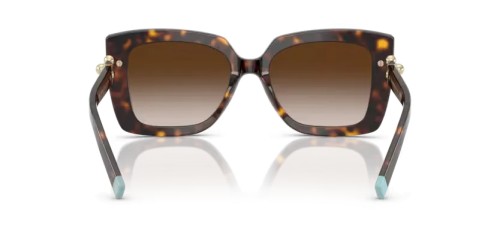 TIFFANY & CO. TF4199 - 80153B - 53 Occhiali da sole Havanna Butterfly